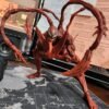 Sh figuarts Carnage k.o